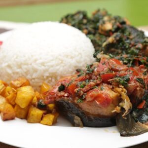 RICE AND VEGGIE SAUCE